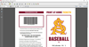 Picture of SA Baseball Tickets PDF Generator